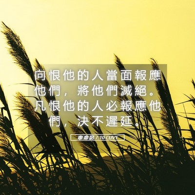 Picture 05 - 申 命 記 7:10 CUVT - 向 恨 他 的 人 當 面 報 應 他 們 ， - Bible Verse Picture
