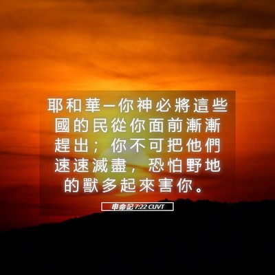 Picture 05 - 申 命 記 7:22 CUVT - 耶 和 華 ─ 你 神 必 將 這 些 國 的 - Bible Verse Picture