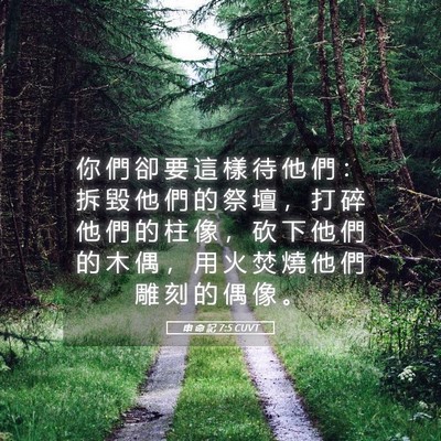 Picture 05 - 申 命 記 7:5 CUVT - 你 們 卻 要 這 樣 待 他 們 ： 拆 毀 - Bible Verse Picture