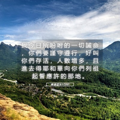 Picture 05 - 申 命 記 8:1 CUVT - 我 今 日 所 吩 咐 的 一 切 誡 命 ， - Bible Verse Picture