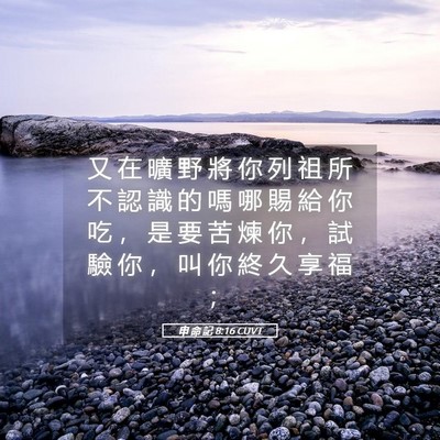 Picture 05 - 申 命 記 8:16 CUVT - 又 在 曠 野 將 你 列 祖 所 不 認 識 - Bible Verse Picture