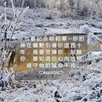 Picture 05 - 申 命 記 8:2 CUVT - 你 也 要 記 念 耶 和 華 ─ 你 的 神 - Bible Verse Picture