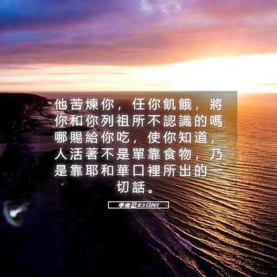 Picture 05 - 申 命 記 8:3 CUVT - 他 苦 煉 你 ， 任 你 飢 餓 ， 將 你 - Bible Verse Picture