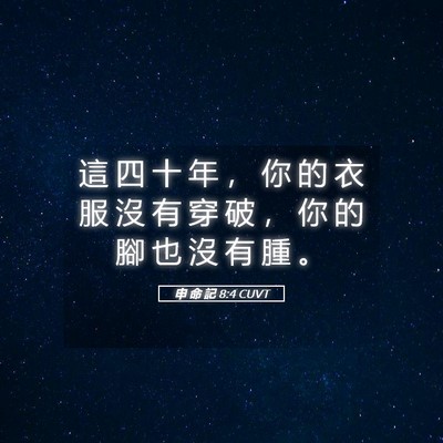 Picture 05 - 申 命 記 8:4 CUVT - 這 四 十 年 ， 你 的 衣 服 沒 有 穿 - Bible Verse Picture