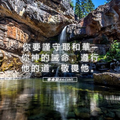 Picture 05 - 申 命 記 8:6 CUVT - 你 要 謹 守 耶 和 華 ─ 你 神 的 誡 - Bible Verse Picture