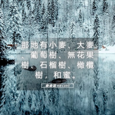 Picture 05 - 申 命 記 8:8 CUVT - 那 地 有 小 麥 、 大 麥 、 葡 萄 樹 - Bible Verse Picture