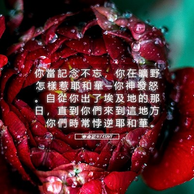 Picture 05 - 申 命 記 9:7 CUVT - 你 當 記 念 不 忘 ， 你 在 曠 野 怎 - Bible Verse Picture
