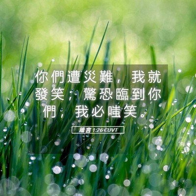 Picture 05 - 箴 言 1:26 CUVT - 你 們 遭 災 難 ， 我 就 發 笑 ； 驚 - Bible Verse Picture