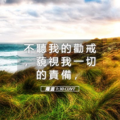 Picture 05 - 箴 言 1:30 CUVT - 不 聽 我 的 勸 戒 ， 藐 視 我 一 切 - Bible Verse Picture