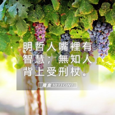 Picture 05 - 箴 言 10:13 CUVT - 明 哲 人 嘴 裡 有 智 慧 ； 無 知 人 - Bible Verse Picture