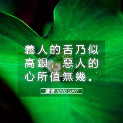 Picture 05 - 箴 言 10:20 CUVT - 義 人 的 舌 乃 似 高 銀 ； 惡 人 的 - Bible Verse Picture