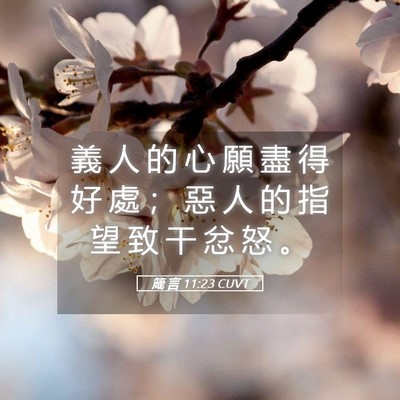 Picture 05 - 箴 言 11:23 CUVT - 義 人 的 心 願 盡 得 好 處 ； 惡 人 - Bible Verse Picture