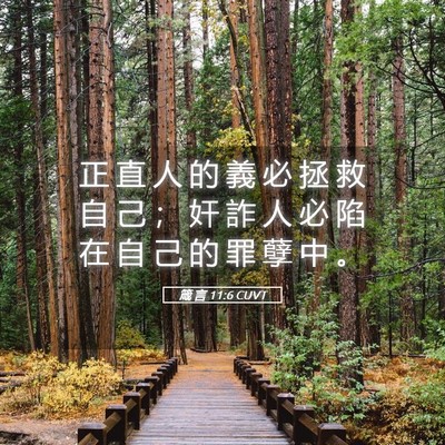 Picture 05 - 箴 言 11:6 CUVT - 正 直 人 的 義 必 拯 救 自 己 ； 奸 - Bible Verse Picture