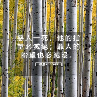 Picture 05 - 箴 言 11:7 CUVT - 惡 人 一 死 ， 他 的 指 望 必 滅 絕 - Bible Verse Picture