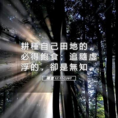 Picture 05 - 箴 言 12:11 CUVT - 耕 種 自 己 田 地 的 ， 必 得 飽 食 - Bible Verse Picture