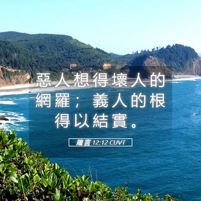 Picture 05 - 箴 言 12:12 CUVT - 惡 人 想 得 壞 人 的 網 羅 ； 義 人 - Bible Verse Picture