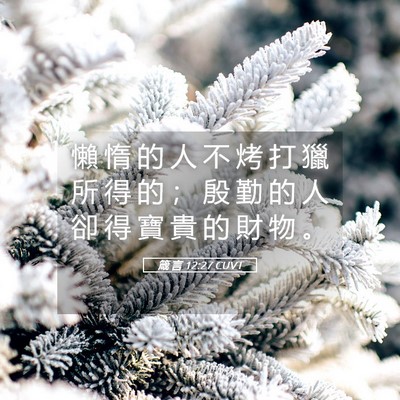 Picture 05 - 箴 言 12:27 CUVT - 懶 惰 的 人 不 烤 打 獵 所 得 的 ； - Bible Verse Picture