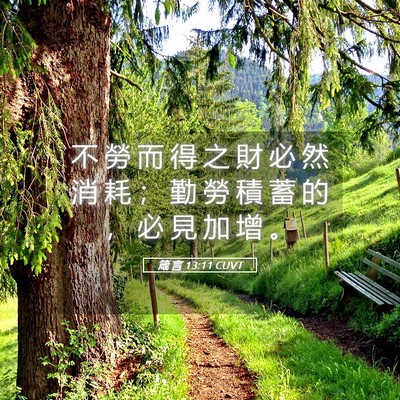 Picture 05 - 箴 言 13:11 CUVT - 不 勞 而 得 之 財 必 然 消 耗 ； 勤 - Bible Verse Picture