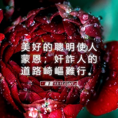 Picture 05 - 箴 言 13:15 CUVT - 美 好 的 聰 明 使 人 蒙 恩 ； 奸 詐 - Bible Verse Picture
