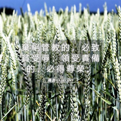 Picture 05 - 箴 言 13:18 CUVT - 棄 絕 管 教 的 ， 必 致 貧 受 辱 ； - Bible Verse Picture