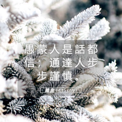 Picture 05 - 箴 言 14:15 CUVT - 愚 蒙 人 是 話 都 信 ； 通 達 人 步 - Bible Verse Picture