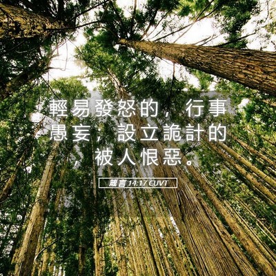 Picture 05 - 箴 言 14:17 CUVT - 輕 易 發 怒 的 ， 行 事 愚 妄 ； 設 - Bible Verse Picture