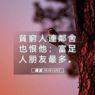 Picture 05 - 箴 言 14:20 CUVT - 貧 窮 人 連 鄰 舍 也 恨 他 ； 富 足 - Bible Verse Picture