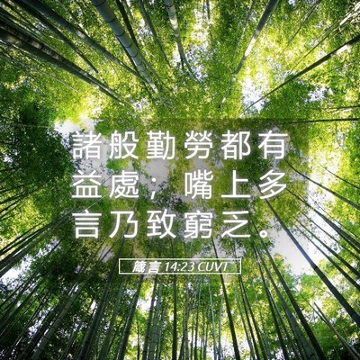 Picture 05 - 箴 言 14:23 CUVT - 諸 般 勤 勞 都 有 益 處 ； 嘴 上 多 - Bible Verse Picture