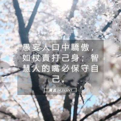 Picture 05 - 箴 言 14:3 CUVT - 愚 妄 人 口 中 驕 傲 ， 如 杖 責 打 - Bible Verse Picture