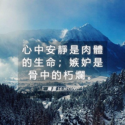 Picture 05 - 箴 言 14:30 CUVT - 心 中 安 靜 是 肉 體 的 生 命 ； 嫉 - Bible Verse Picture