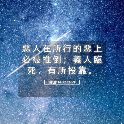 Picture 05 - 箴 言 14:32 CUVT - 惡 人 在 所 行 的 惡 上 必 被 推 倒 - Bible Verse Picture