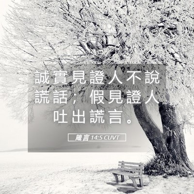 Picture 05 - 箴 言 14:5 CUVT - 誠 實 見 證 人 不 說 謊 話 ； 假 見 - Bible Verse Picture