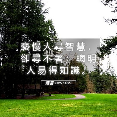 Picture 05 - 箴 言 14:6 CUVT - 褻 慢 人 尋 智 慧 ， 卻 尋 不 著 ； - Bible Verse Picture