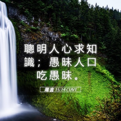 Picture 05 - 箴 言 15:14 CUVT - 聰 明 人 心 求 知 識 ； 愚 昧 人 口 - Bible Verse Picture