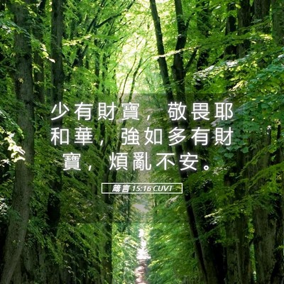 Picture 05 - 箴 言 15:16 CUVT - 少 有 財 寶 ， 敬 畏 耶 和 華 ， 強 - Bible Verse Picture