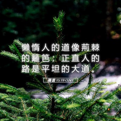Picture 05 - 箴 言 15:19 CUVT - 懶 惰 人 的 道 像 荊 棘 的 籬 笆 ； - Bible Verse Picture