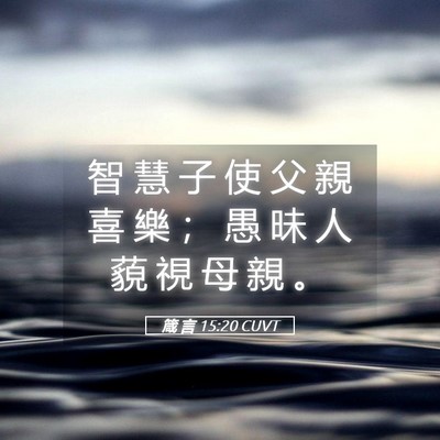 Picture 05 - 箴 言 15:20 CUVT - 智 慧 子 使 父 親 喜 樂 ； 愚 昧 人 - Bible Verse Picture