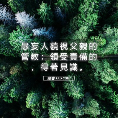 Picture 05 - 箴 言 15:5 CUVT - 愚 妄 人 藐 視 父 親 的 管 教 ； 領 - Bible Verse Picture