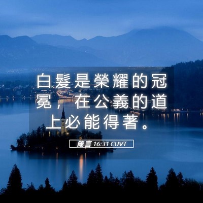 Picture 05 - 箴 言 16:31 CUVT - 白 髮 是 榮 耀 的 冠 冕 ， 在 公 義 - Bible Verse Picture