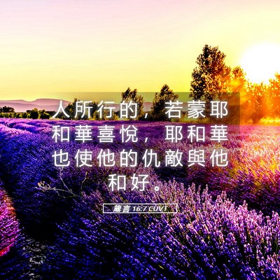Picture 05 - 箴 言 16:7 CUVT - 人 所 行 的 ， 若 蒙 耶 和 華 喜 悅 - Bible Verse Picture