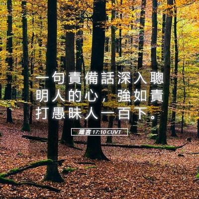 Picture 05 - 箴 言 17:10 CUVT - 一 句 責 備 話 深 入 聰 明 人 的 心 - Bible Verse Picture