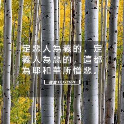 Picture 05 - 箴 言 17:15 CUVT - 定 惡 人 為 義 的 ， 定 義 人 為 惡 - Bible Verse Picture