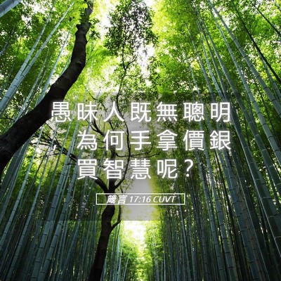 Picture 05 - 箴 言 17:16 CUVT - 愚 昧 人 既 無 聰 明 ， 為 何 手 拿 - Bible Verse Picture
