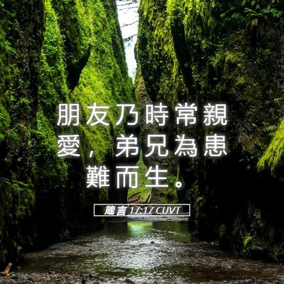 Picture 05 - 箴 言 17:17 CUVT - 朋 友 乃 時 常 親 愛 ， 弟 兄 為 患 - Bible Verse Picture