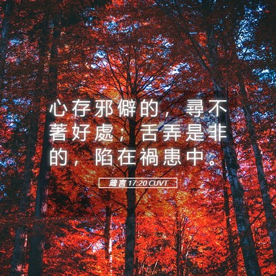 Picture 05 - 箴 言 17:20 CUVT - 心 存 邪 僻 的 ， 尋 不 著 好 處 ； - Bible Verse Picture