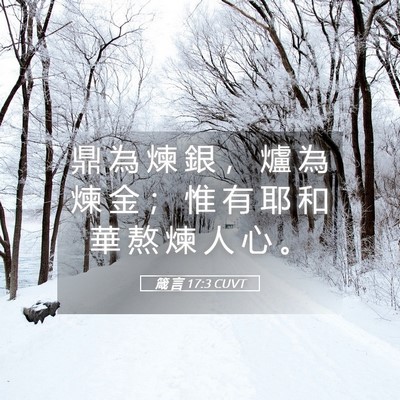 Picture 05 - 箴 言 17:3 CUVT - 鼎 為 煉 銀 ， 爐 為 煉 金 ； 惟 有 - Bible Verse Picture