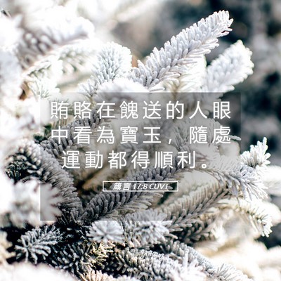 Picture 05 - 箴 言 17:8 CUVT - 賄 賂 在 餽 送 的 人 眼 中 看 為 寶 - Bible Verse Picture