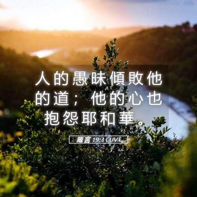 Picture 05 - 箴 言 19:3 CUVT - 人 的 愚 昧 傾 敗 他 的 道 ； 他 的 - Bible Verse Picture