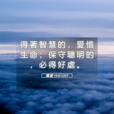 Picture 05 - 箴 言 19:8 CUVT - 得 著 智 慧 的 ， 愛 惜 生 命 ； 保 - Bible Verse Picture