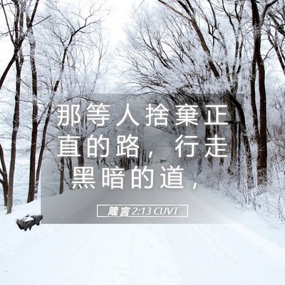 Picture 05 - 箴 言 2:13 CUVT - 那 等 人 捨 棄 正 直 的 路 ， 行 走 - Bible Verse Picture